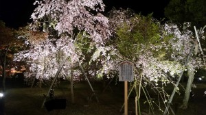 20160410_193043