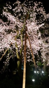 20160410_193409