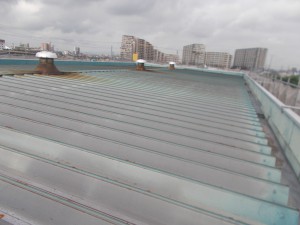 DSCN5373
